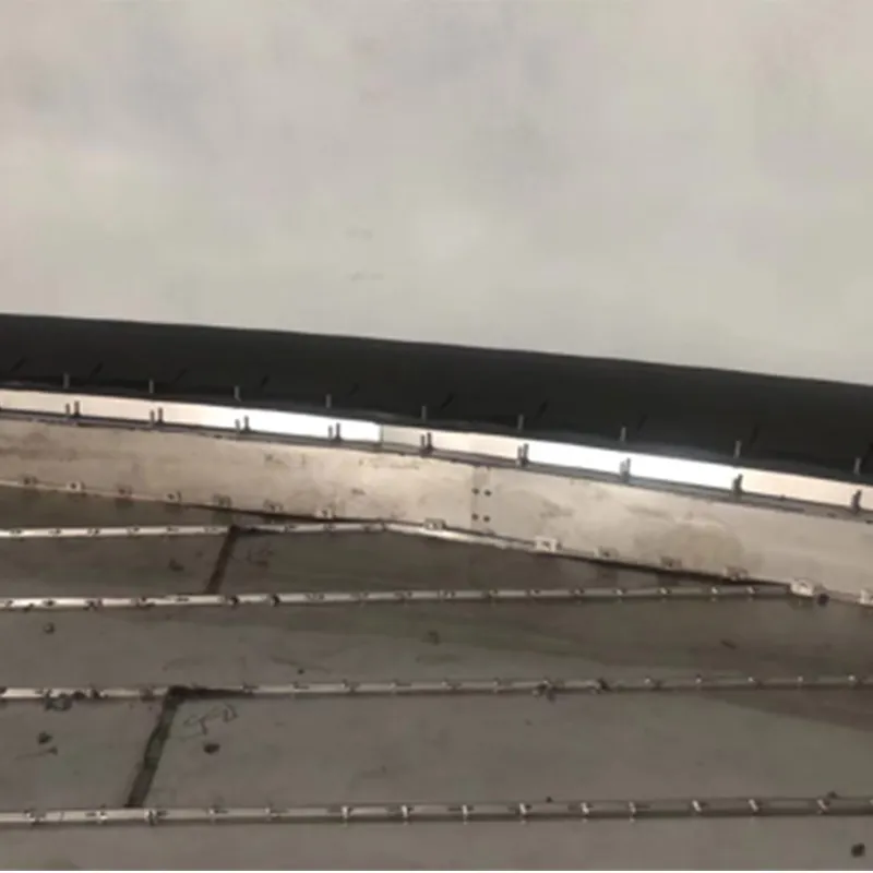 Вторичное скребковое уплотнение язычкового типа (1)